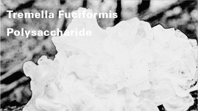 Tremella Fuciformis Polysaccharide