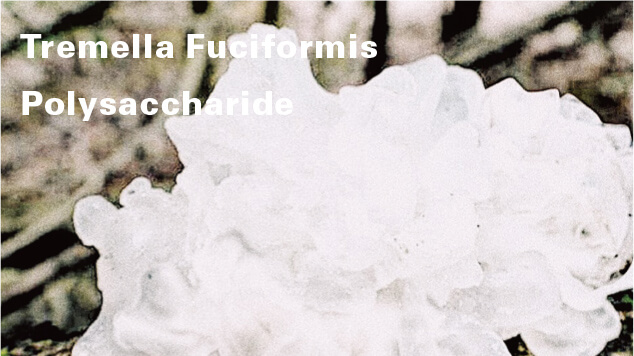 Tremella Fuciformis Polysaccharide