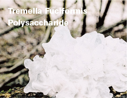 Tremella Fuciformis Polysaccharide