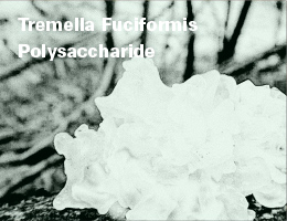 Tremella Fuciformis Polysaccharide