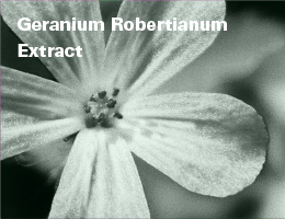 Geranium Robertianum Extract