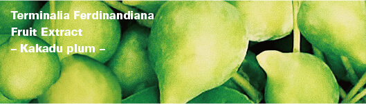 Terminalia Ferdinandiana Fruit Extract– Kakadu plum –