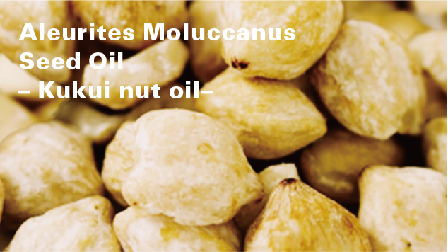 Aleurites Moluccana Seed Oil– Kukui nut oil–